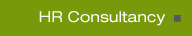 HR Consultancy